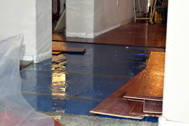 Professional Burst Pipe Cleanup technician working in Marine City, MI