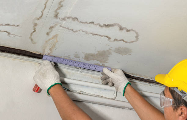 Reliable Burst Pipe Cleanup contractor in Marine City, MI by Local Water Damage Repair